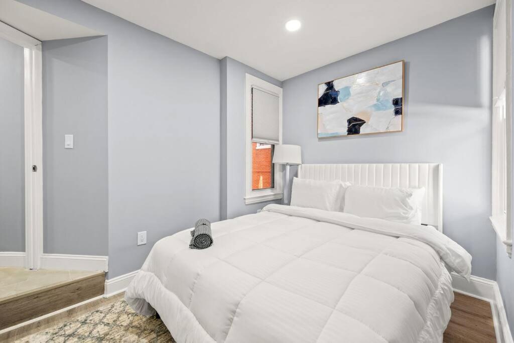 New! Cozy Apt In Center City! Philadelphia Exterior foto